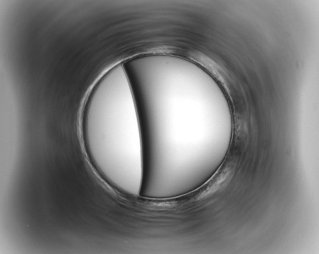 X0000098190843200804241049