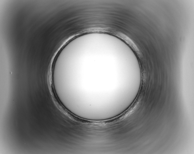 X0000098190844200804241049
