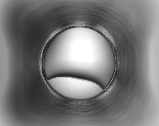X0000098190845200804241049