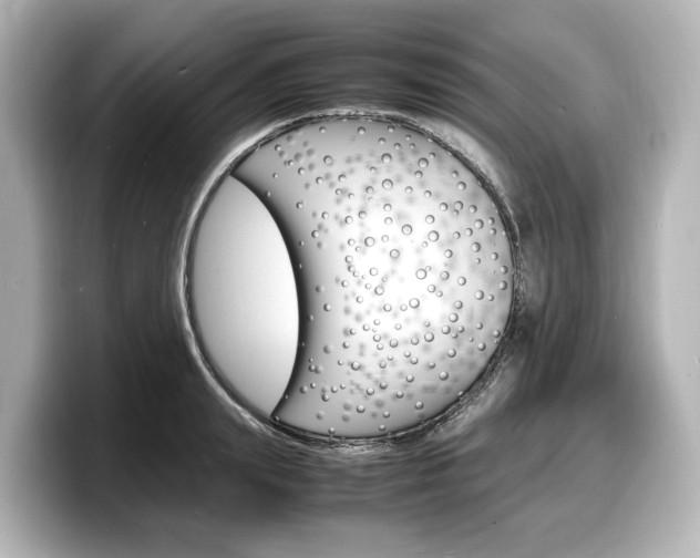 X0000098190847200804241049
