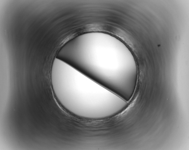 X0000098190849200804241049
