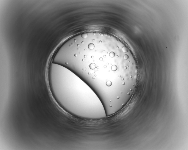 X0000098190851200804241049