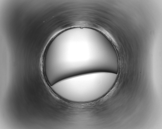 X0000098190854200804241049