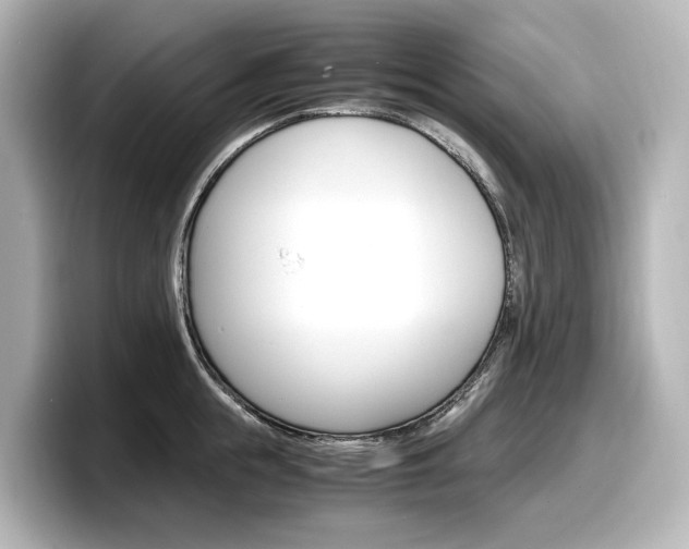 X0000098190855200804241049