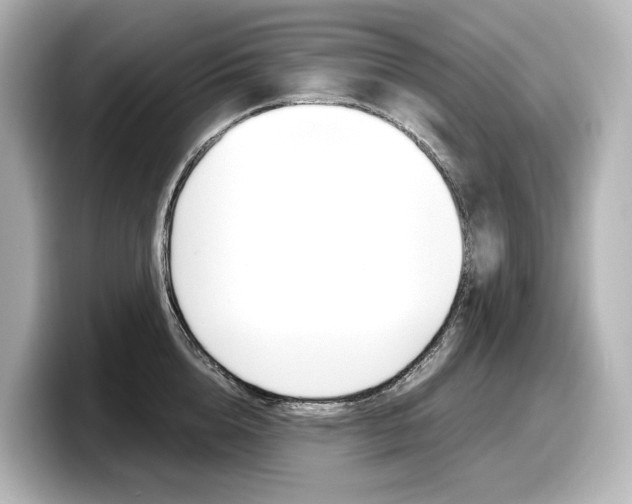 X0000098190856200804241049