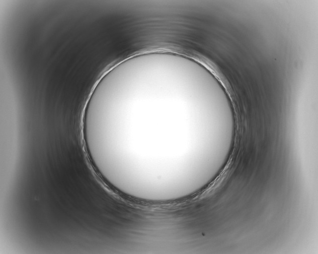X0000098190858200804241049