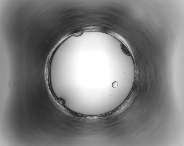 X0000098190859200804241049