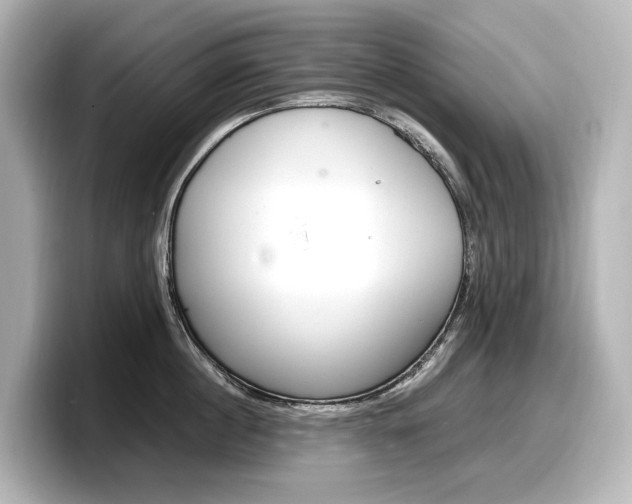 X0000098190860200804241049