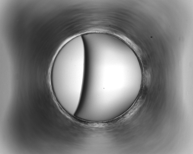 X0000098190862200804241049
