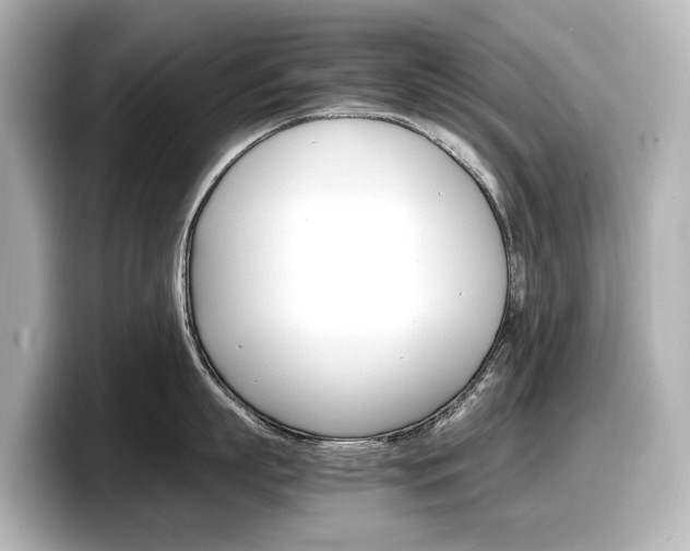 X0000098190863200804241049