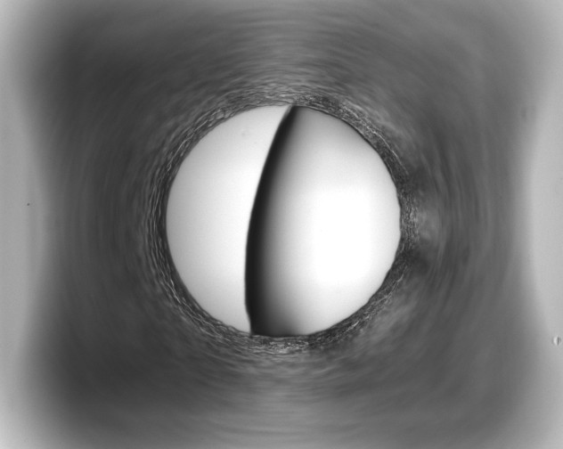 X0000098190865200804241049