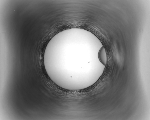 X0000098190866200804241049