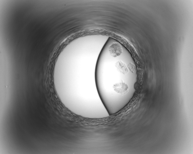 X0000098190871200804241049