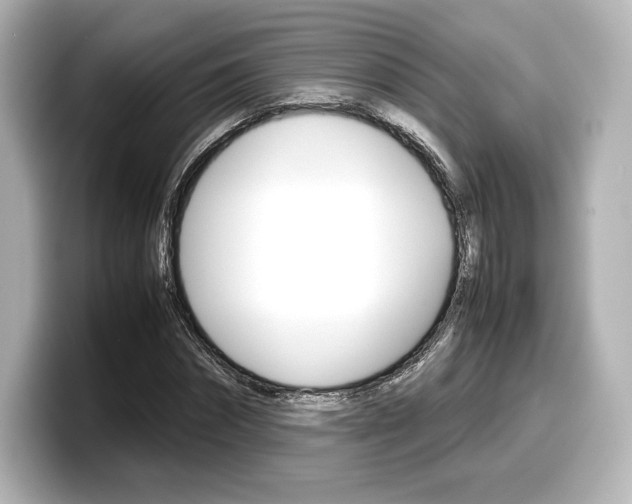 X0000098190874200804241049