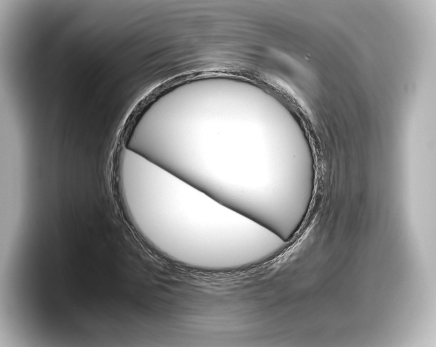 X0000098190875200804241049