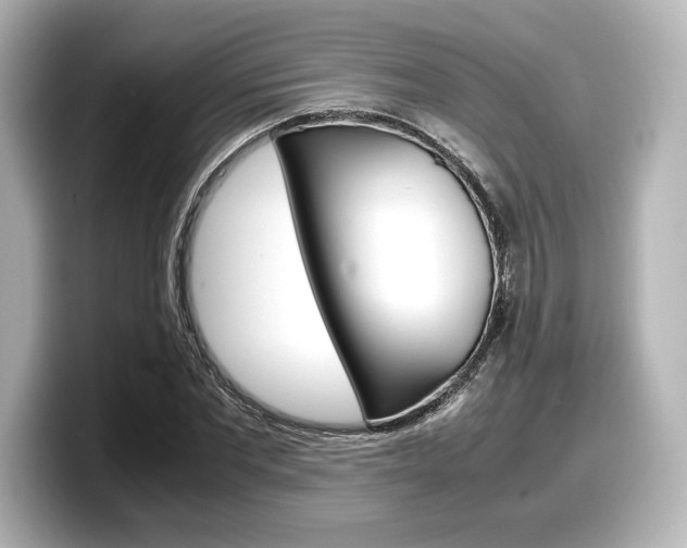 X0000098190877200804241049