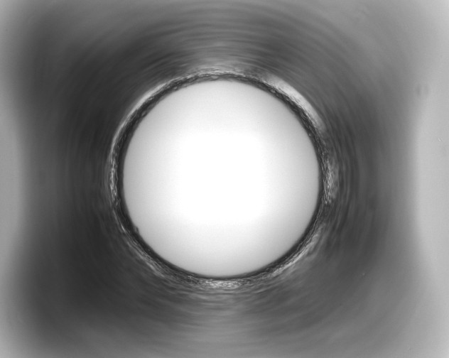X0000098190878200804241049