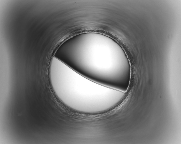 X0000098190881200804241049