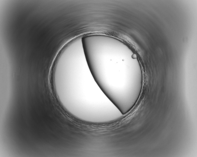 X0000098190883200804241049