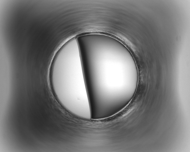 X0000098190885200804241049