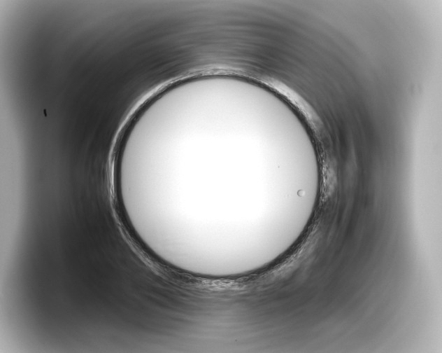 X0000098190886200804241049