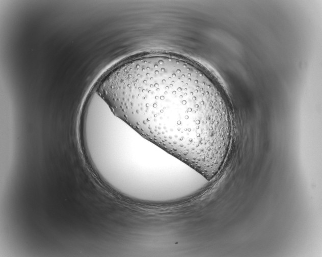 X0000098190887200804241049
