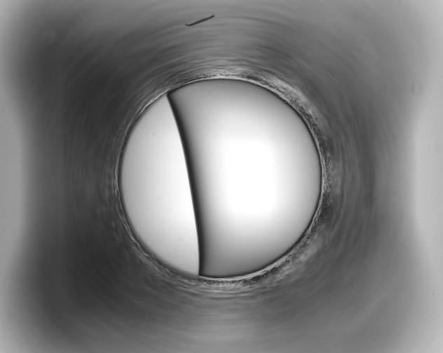 X0000098190889200804241049