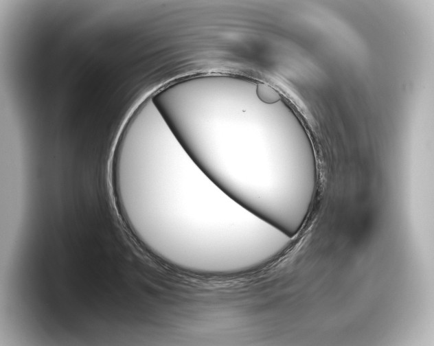 X0000098190891200804241049