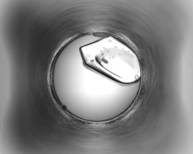 X0000098190893200804241048