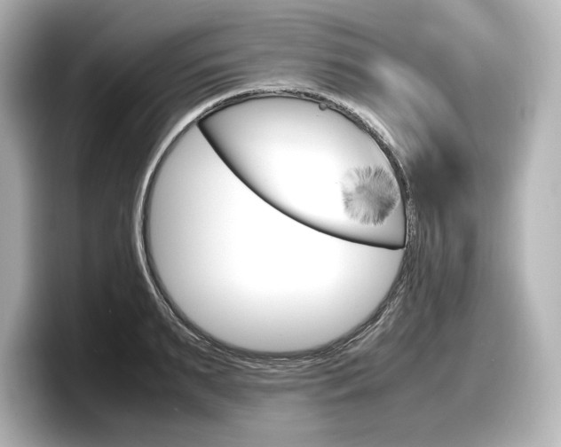 X0000098190895200804241048