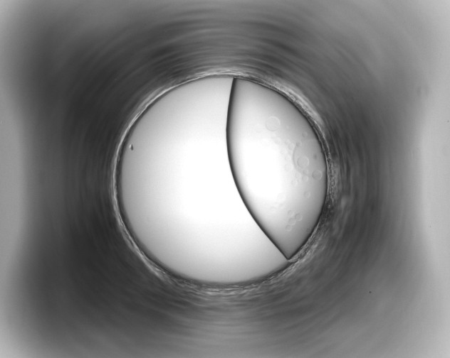 X0000098190898200804241048