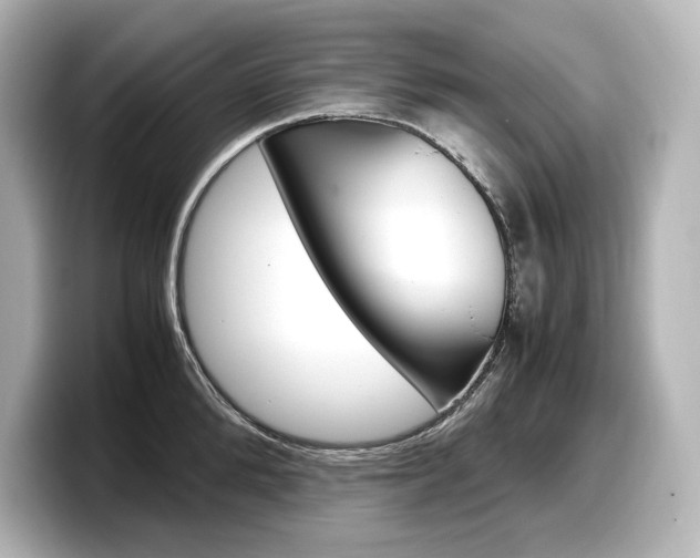X0000098190904200804241048
