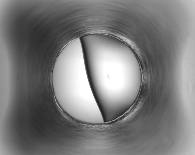 X0000098190905200804241048