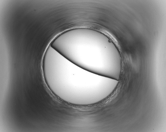 X0000098190907200804241048