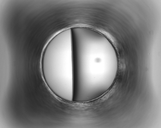 X0000098190910200804241048