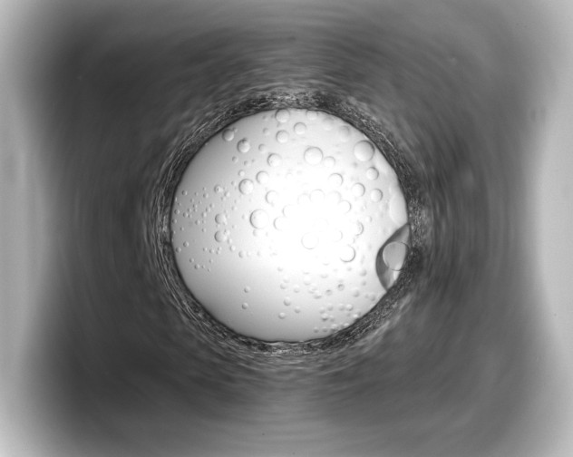 X0000098190913200804241048