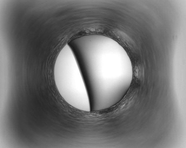 X0000098190915200804241048