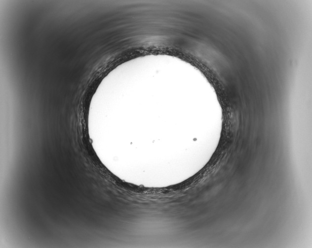 X0000098190918200804241048