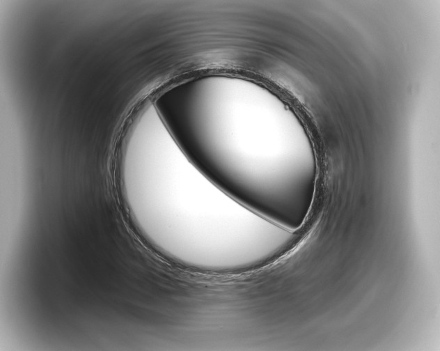 X0000098190922200804241048