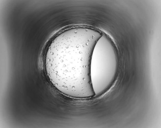 X0000098190925200804241048