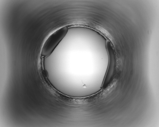X0000098190928200804241048