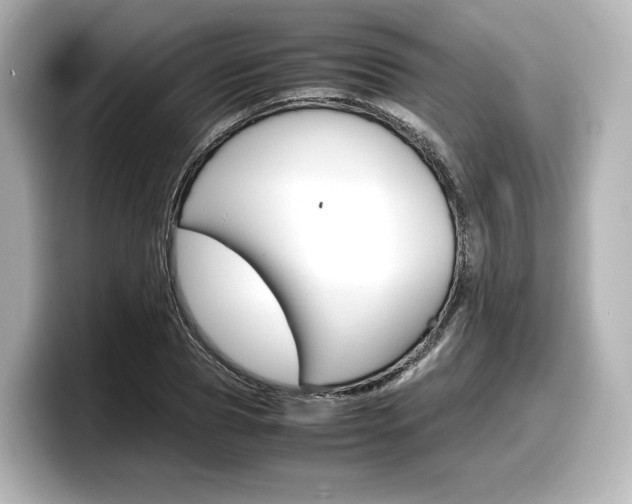 X0000098190929200804241048