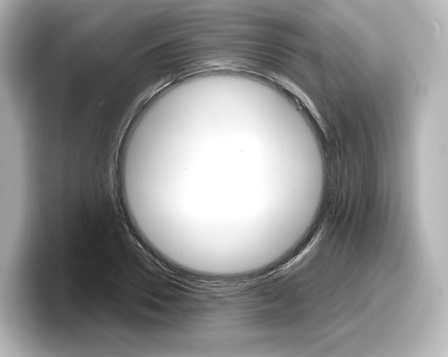 X0000098190930200804241048