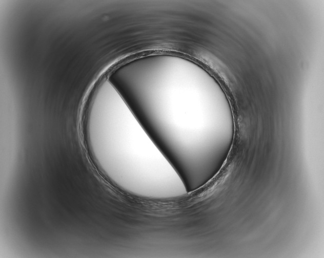 X0000098190931200804241048