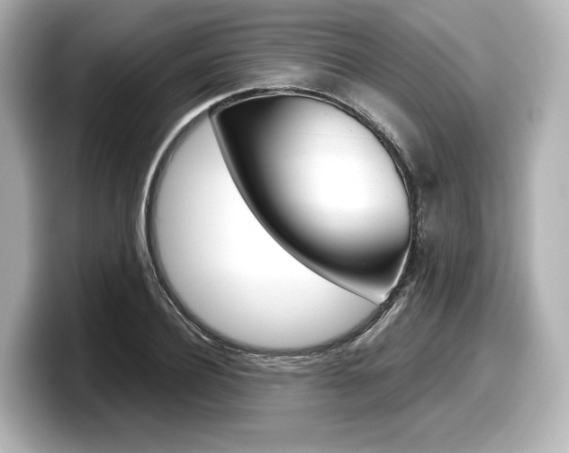 X0000098190932200804241048
