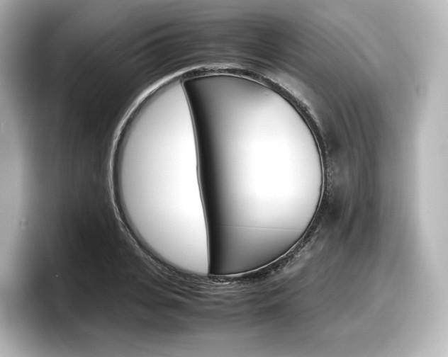 X0000098190935200804241048