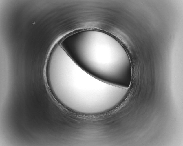 X0000098190936200804241048