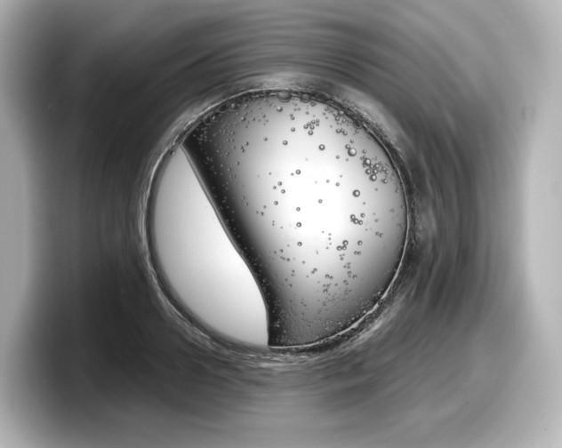 X0000098190938200804241048