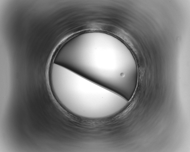 X0000098190939200804241048