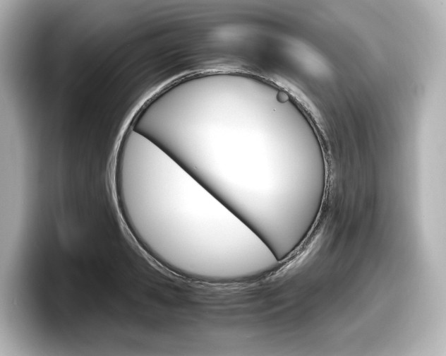X0000098190941200804241048